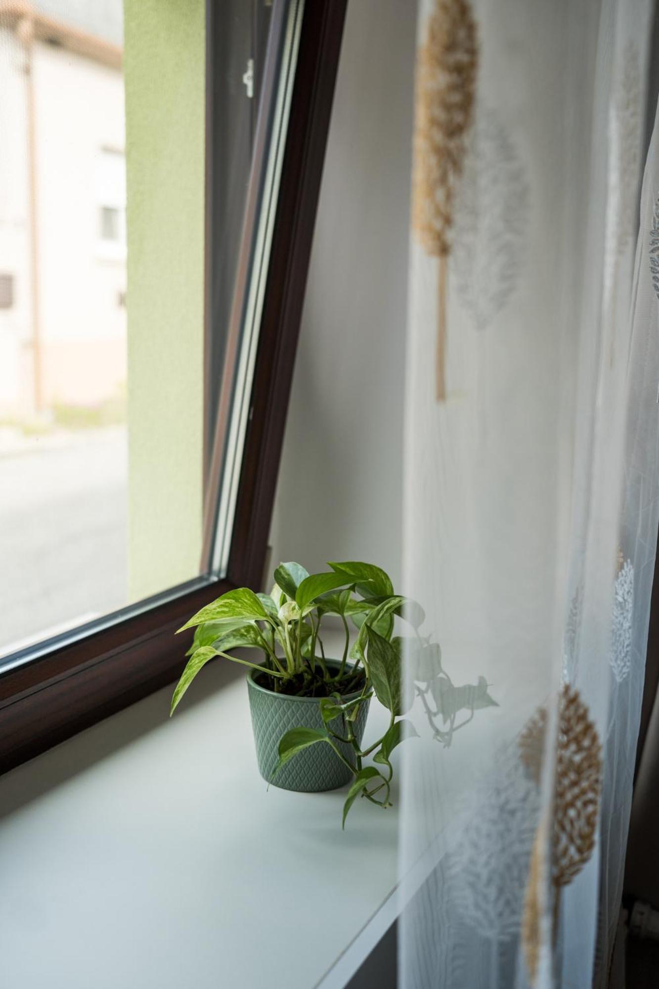 Ferienwohnung Csipesz_Vendeghaz Sümeg Exterior foto